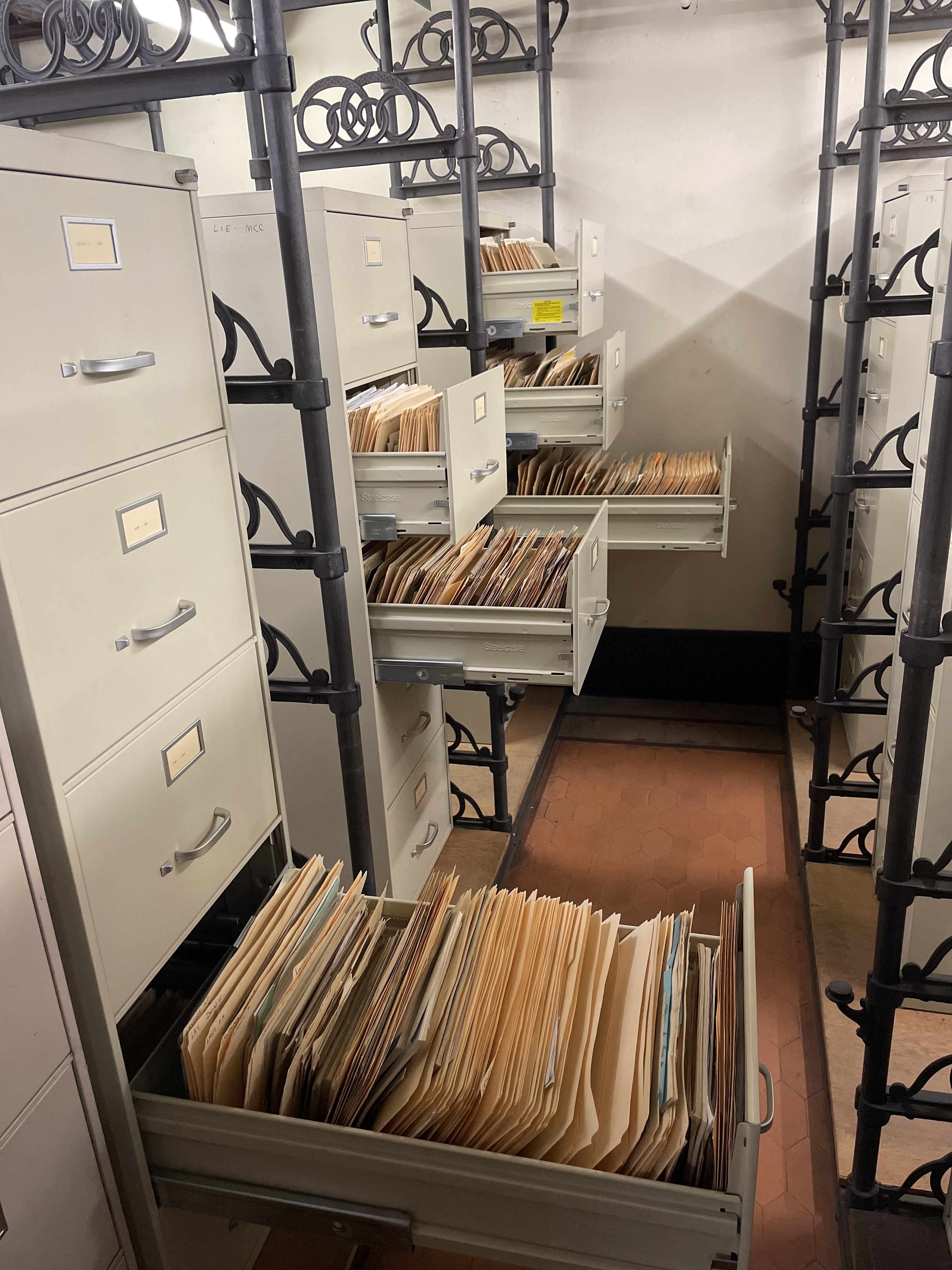 AMNH Department of Mammalogy Library. 2024-10-03. Photo by Nancy Simmons