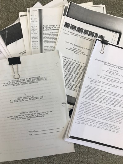 Bat Papers on Cullen’s Desk. 2024-10-03. Photo by Cullen Geiselman