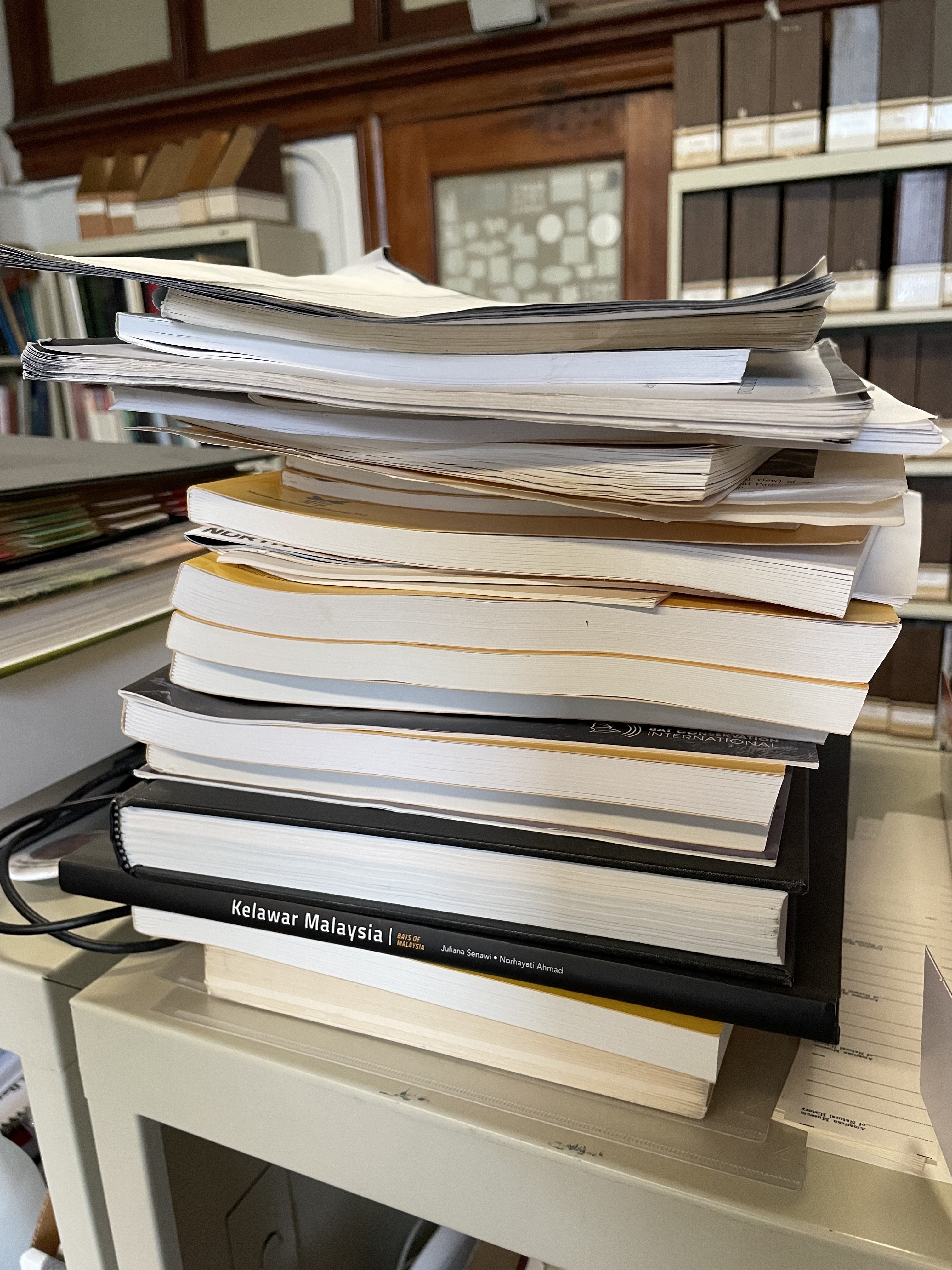 Pile of Paper in Nancy’s Office. 2024-10-03. Photo By Nancy Simmons